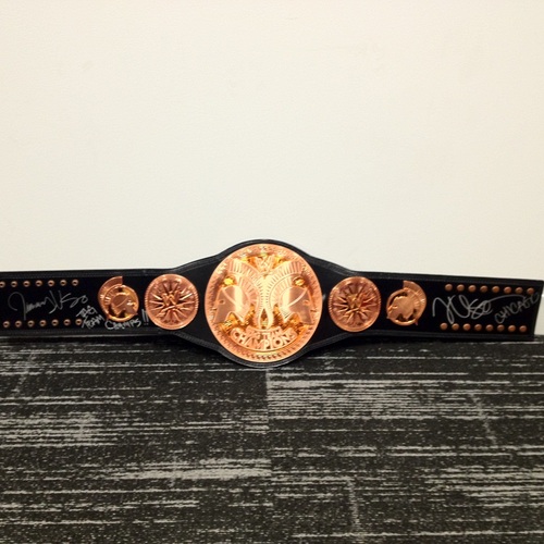 The Usos SIGNED WWE Tag Team Championship Replica Title
