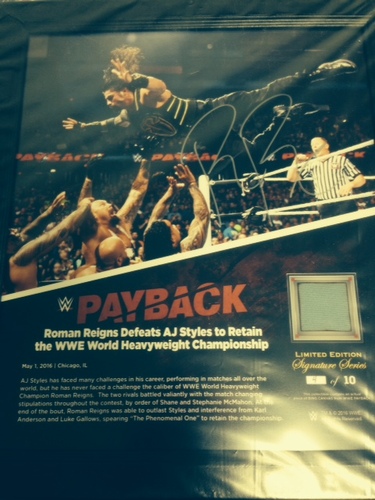 Roman Reigns SIGNED Payback 2016 15 x 17 Framed Ring Canvas Photo Collage