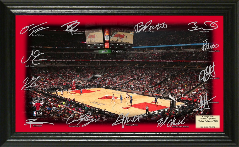 Serial #1! Chicago Bulls Signature Court