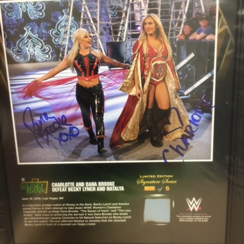 Charlotte & Dana Brooke Money In The Bank 2016 15 x 17 Framed Ring Canvas Photo Collage