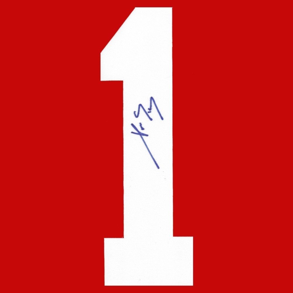 Pavel Datsyuk Autographed Detroit Red Wings Twill Jersey Number