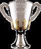 afl logo
