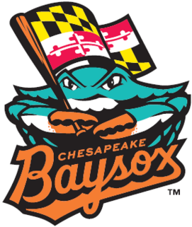Chesapeake Baysox
