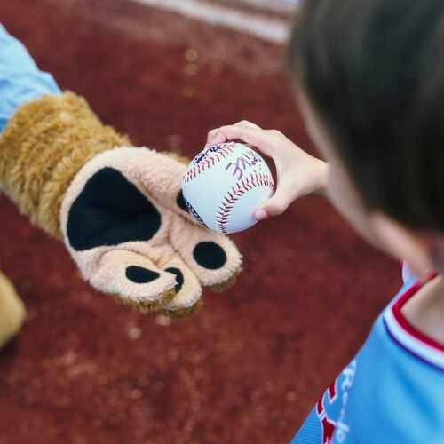 Photo of Camp Out with the Durham Bulls