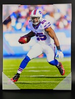 LeSean McCoy 16x20 Canvas Print
