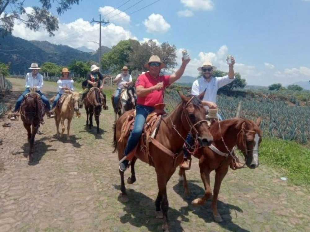 Horseback through Agave Weekend Experience