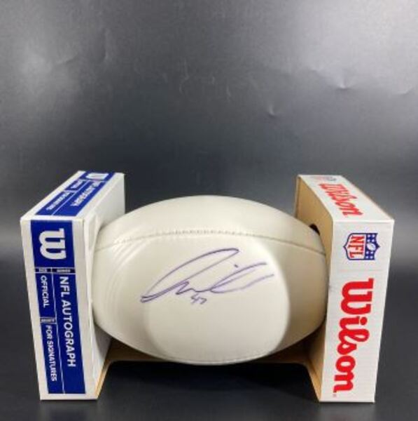 Dolphins - Kiko Alonso Signed Panel Ball