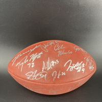Panthers - Multi Signed Authentic STS Football With Over 10 Signatures I...