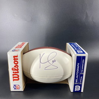 Dolphins - Kenny Stills Signed Panel Ball
