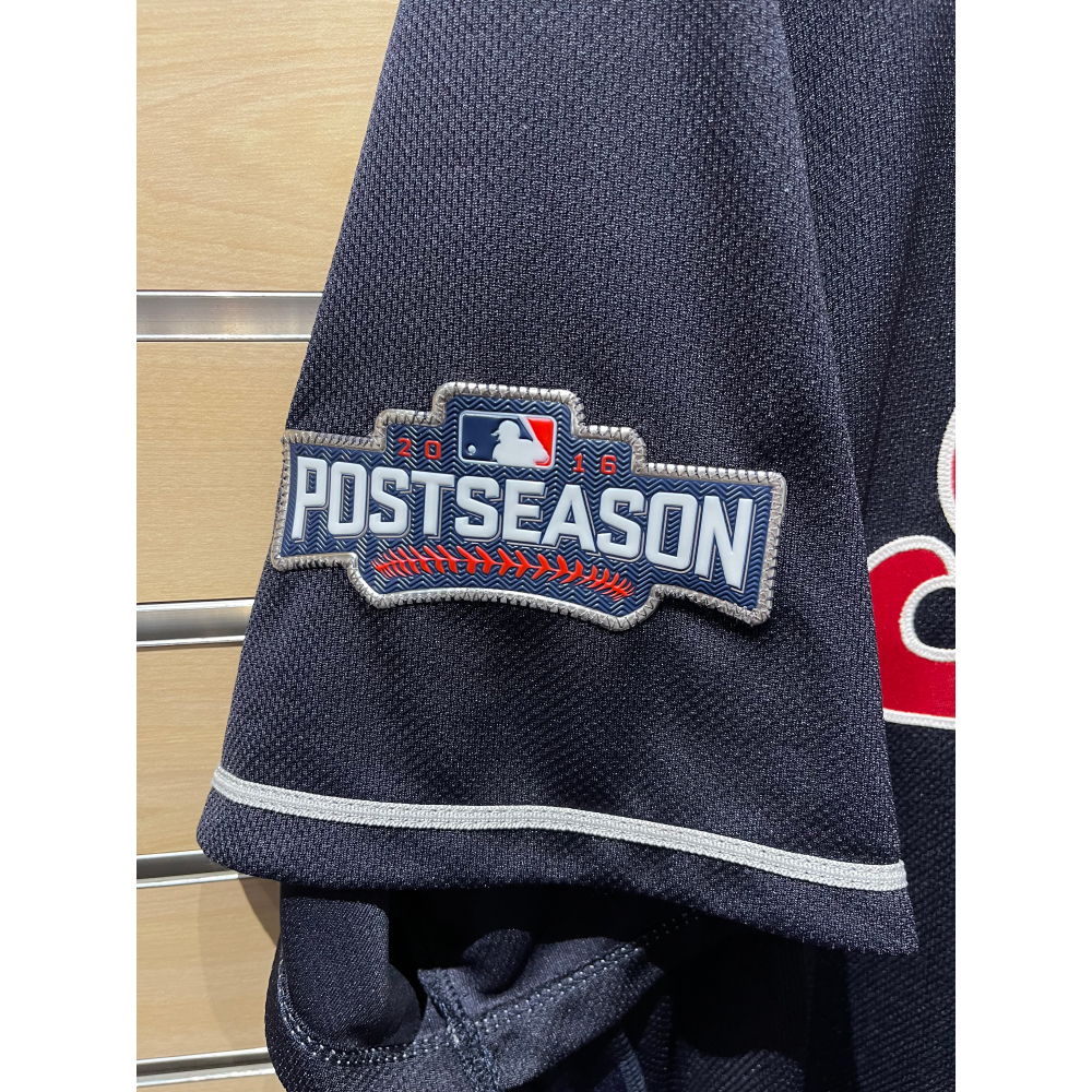 Team Issued Jersey Ty Van Burkleo 29 2016 Postseason Patch