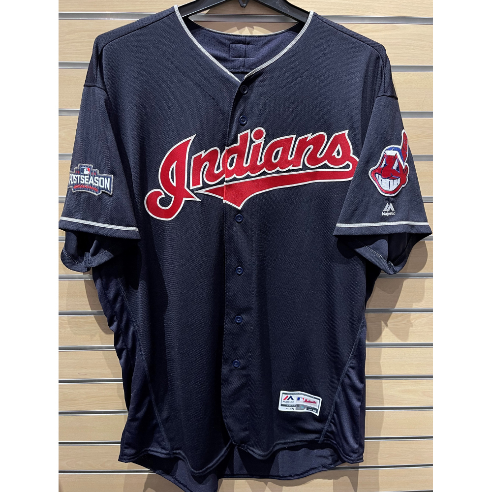 Team Issued Jersey Ty Van Burkleo 29 2016 Postseason Patch