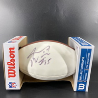Dolphins - Albert Wilson Signed Panel Ball