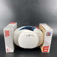 Panthers - Robbie Anderson Signed Panel Ball with Panthers Logo