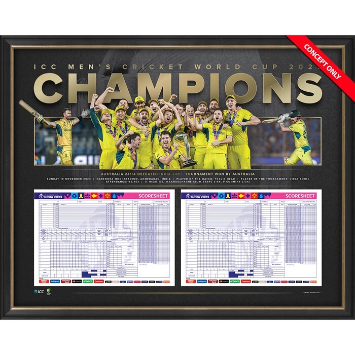 India vs Australia ICC 2023 CWC Final Match-Used Scorecard