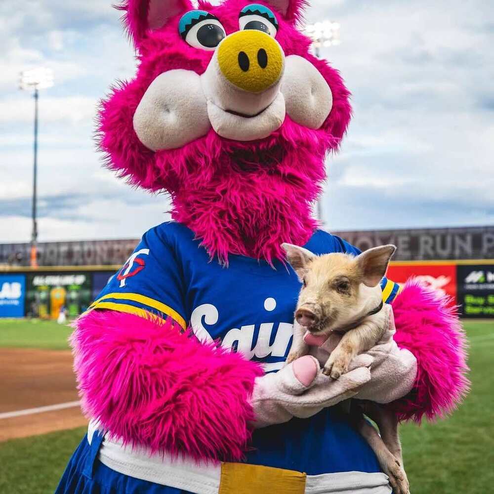 CHOOSE YOUR GAME: St. Paul Saints Summer Voucher