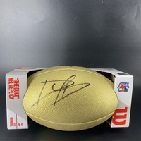 NFL - Cardinals Dadrion Taylor-Demerson Signed Gold Composite Football