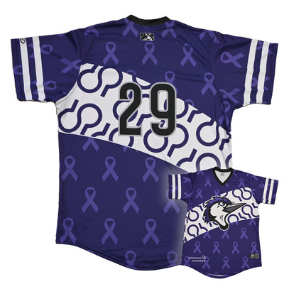 #29 Edinson Batista Fayetteville Woodpeckers Alzheimer's Awareness Jersey