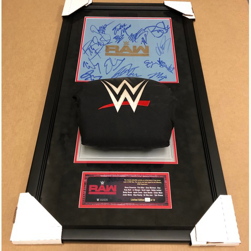Raw 2019 SIGNED Ring Canvas and Turnbuckle Plaque (Multiple Superstars) Random Number