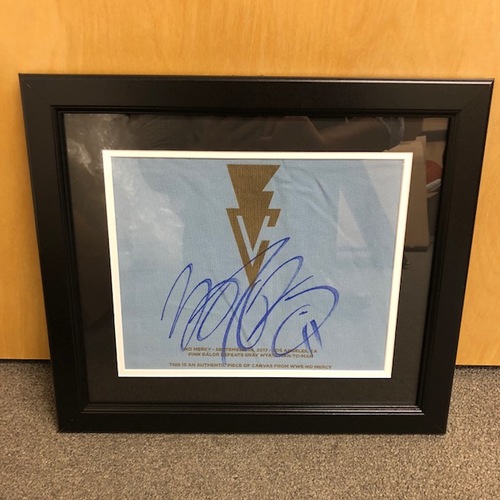 Finn Balor SIGNED No Mercy 2017 Ring Canvas Plaque