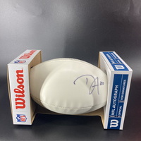 Dolphins - Danny Amendola Signed Panel Ball