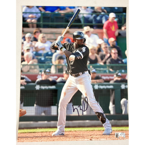 Luis Robert Autographed Photo