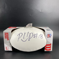 Dolphins - Preston Williams Signed Panel Ball