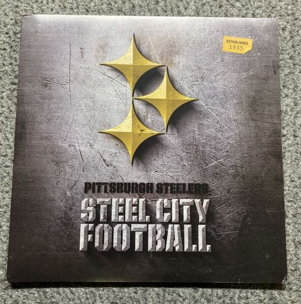 2021 Draft Vinyl - Steelers