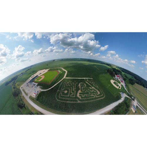 The MLB at Field of Dreams VIP Experience