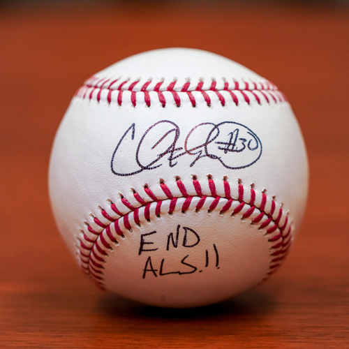 Game-Used or Autographed USA | MLB Auctions