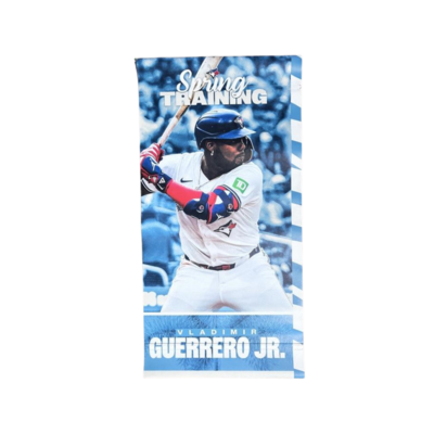 Vladimir Guerrero Jr. Light Pole Banner