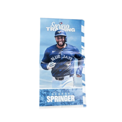 George Springer Light Pole Banner