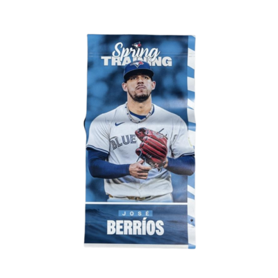Jose Berrios Light Pole Banner