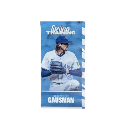 Kevin Gausman Light Pole Banner