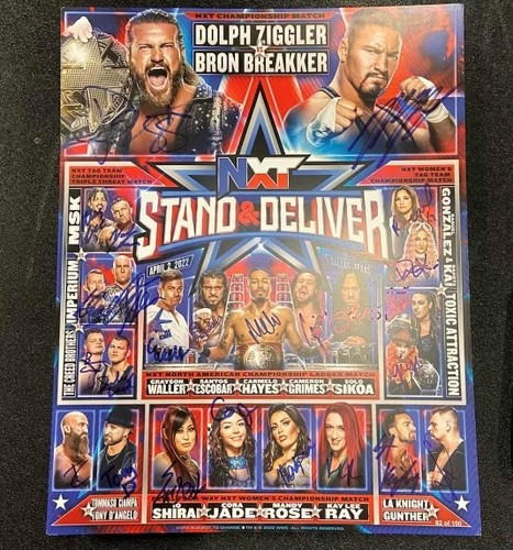 SIGNED And NUMBERED NXT Stand Deliver Fight Card Random Number 