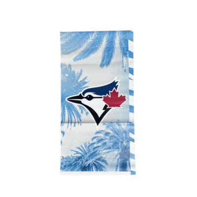 Spring Training 2025 Light Pole Banner