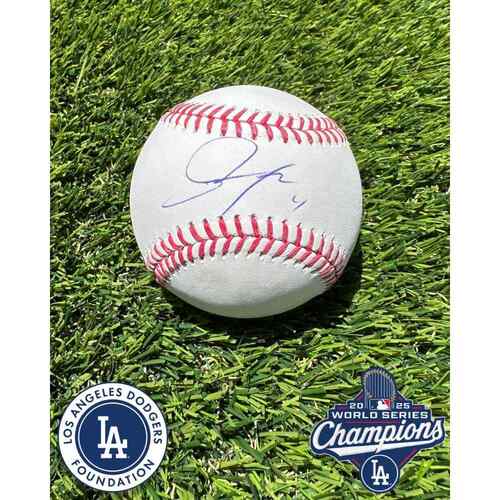 baseball100様　　確認用 Game-Used or Autographed PX035979 | MLB Auctions