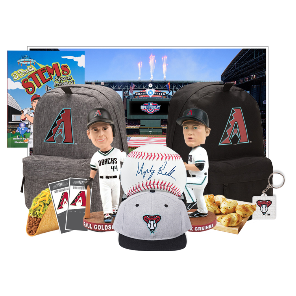 Ultimate Dbackpack for Charity MLB Auctions