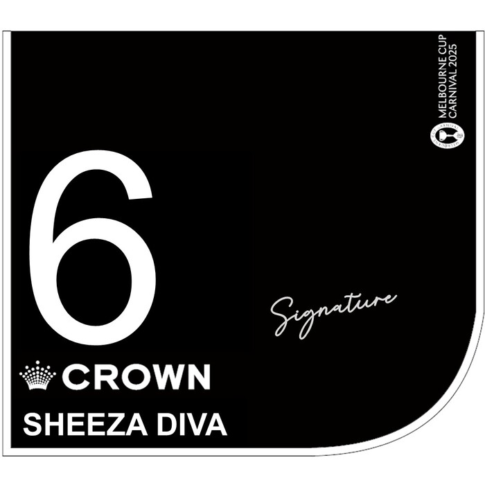 Photo of #6 Sheeza Diva - Rachel King Signed Crown Oaks Day Saddlecloth
