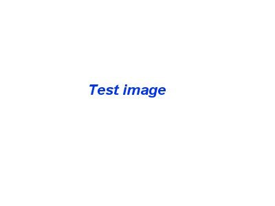 Photo of MYRTLE BEACH PELICANS TEENAGE MUTANT NINJA TURTLES #40 SIZE 46 JERSEY