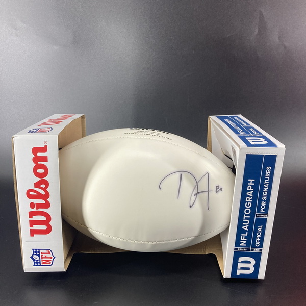 Dolphins - Danny Amendola Signed Panel Ball