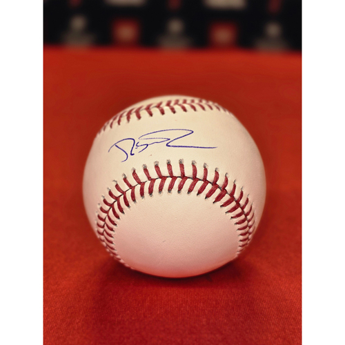 Roy Halladay 2010 NLDS Game 1 No-Hitter Autographed Photo