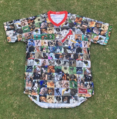 Dog Days Jersey #41 Ryan Campos