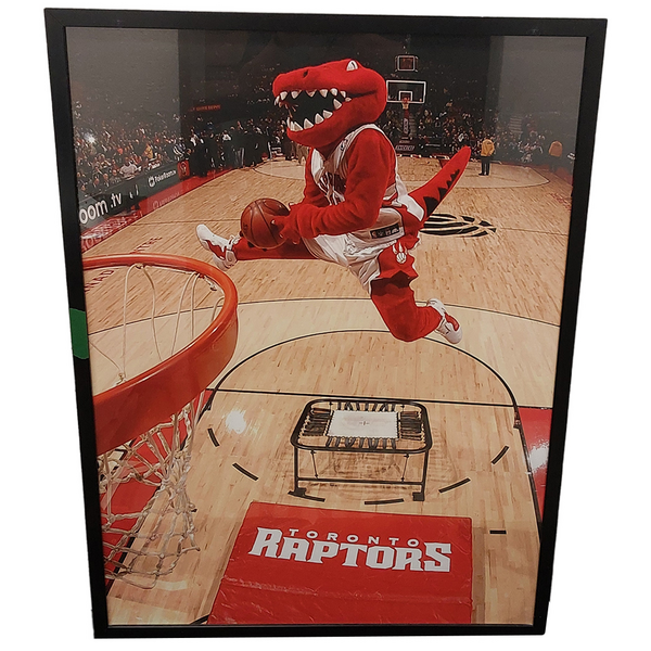 The Raptor Frame