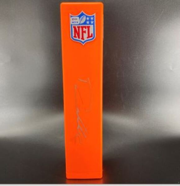NFL - Steelers Drew Aller Signed NFL Shield Pylon