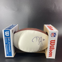 Dolphins - Danny Amendola Signed Panel Ball