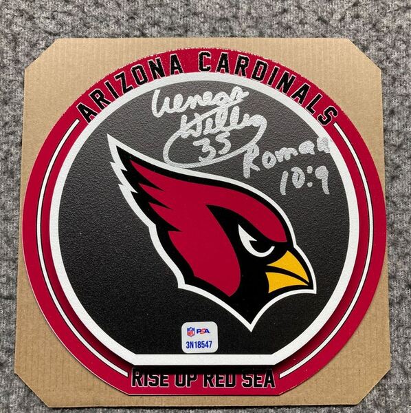 HOF - Cardinals Aeneas Williams Signed 3D Metal Wall Art (8x8)