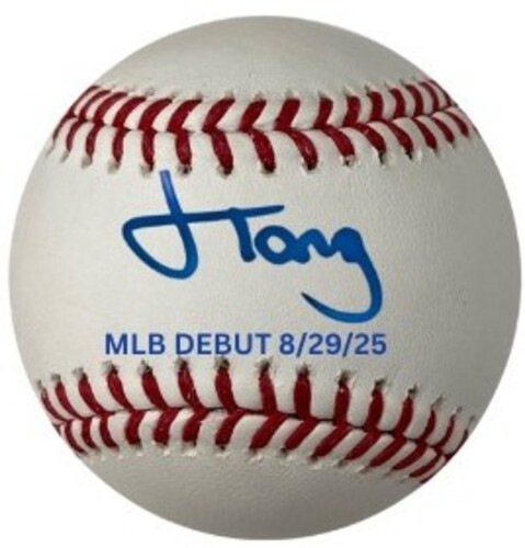 The Amazing Mets Champions ポスター額入り The Amazing Mets Champions ポスター額入り The Amazing Mets