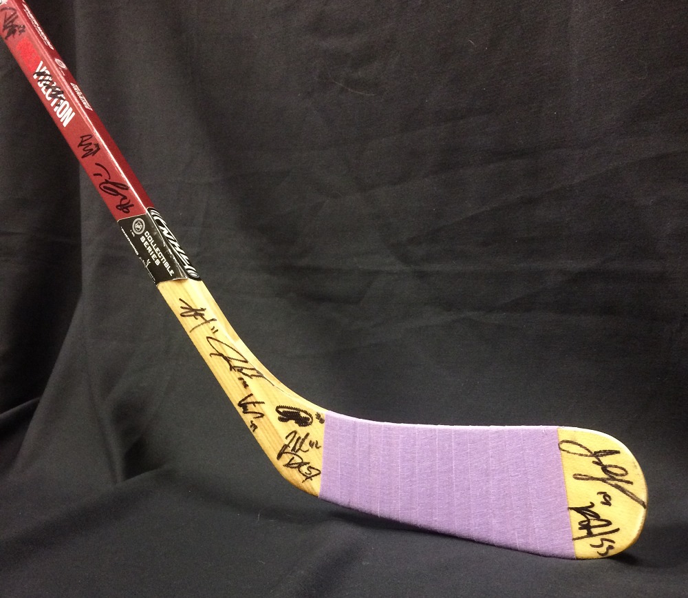 201718 TeamSigned Carolina Hurricanes Hockey Fights Cancer Replica