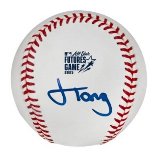 The Amazing Mets Champions ポスター額入り The Amazing Mets Champions ポスター額入り