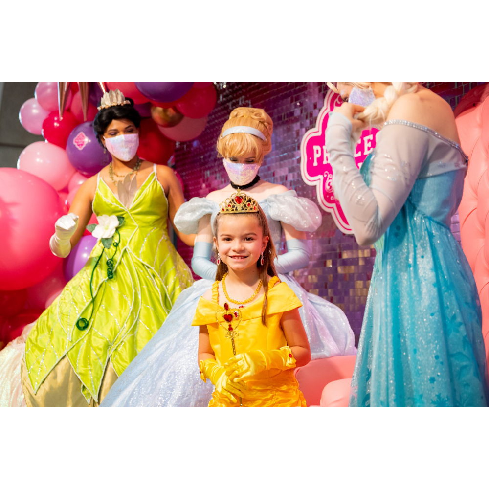 open lace back dress PRINCESS ROSALINA TWIRL DRESS main image 0